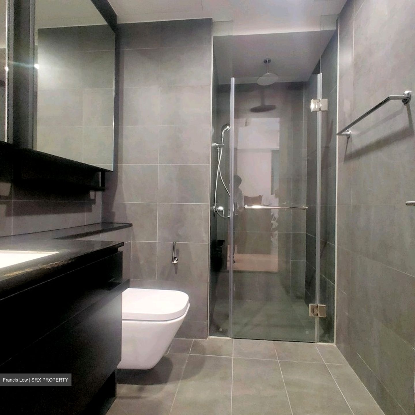 Park Colonial (D13), Condominium #551160131